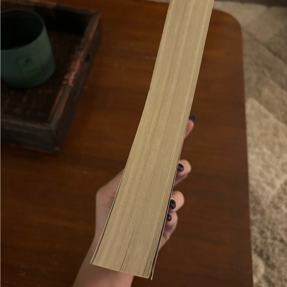 Beautiful Disaster Book​​​​​​​ - Picture 2 of 4